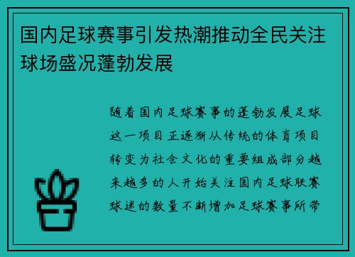 国内足球赛事引发热潮推动全民关注球场盛况蓬勃发展