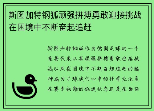 斯图加特钢狐顽强拼搏勇敢迎接挑战在困境中不断奋起追赶