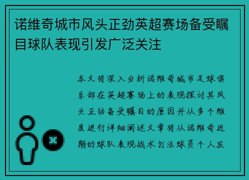 诺维奇城市风头正劲英超赛场备受瞩目球队表现引发广泛关注